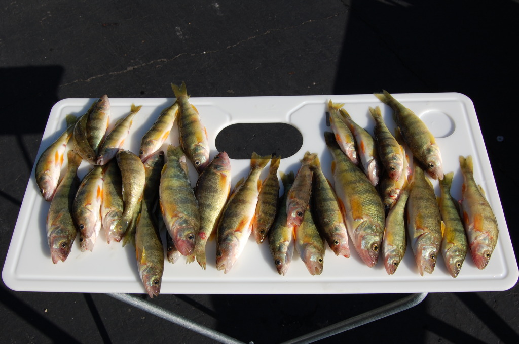 09 september 16 perch south channel